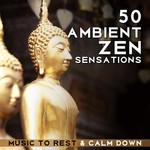 50 Ambient Zen Sensations (Music to Rest & Calm Down - Wellness Sounds of Nature Background, Relaxing Spa, Happy Afternoon, Yoga Meditation)