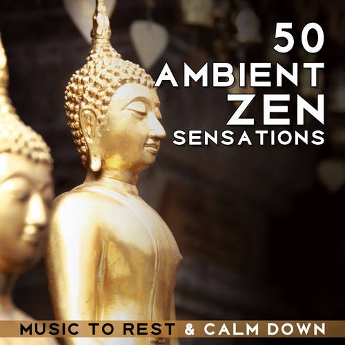 50 Ambient Zen Sensations (Music to Rest & Calm Down - Wellness Sounds of Nature Background, Relaxing Spa, Happy Afternoon, Yoga Meditation)_poster_image