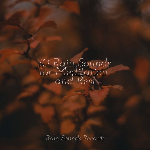 50 Rain Sounds for Meditation and Rest