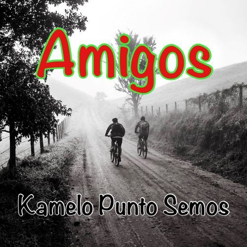 Amigos cover art