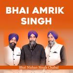 Bhai Amrik Singh artwork