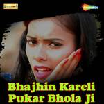 Bhajhin Kareli Pukar Bhola Ji