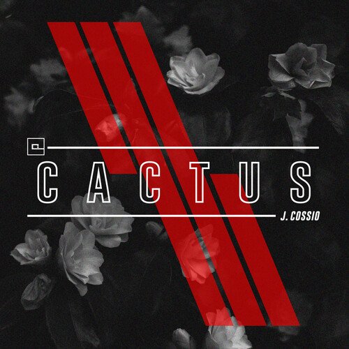 Cactus (Original Mix) cover art
