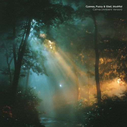 Symtric (Ambient Version) cover art