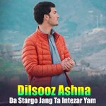 Da Stargo Jang Ta Intezar Yam