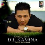 Dil Kamina
