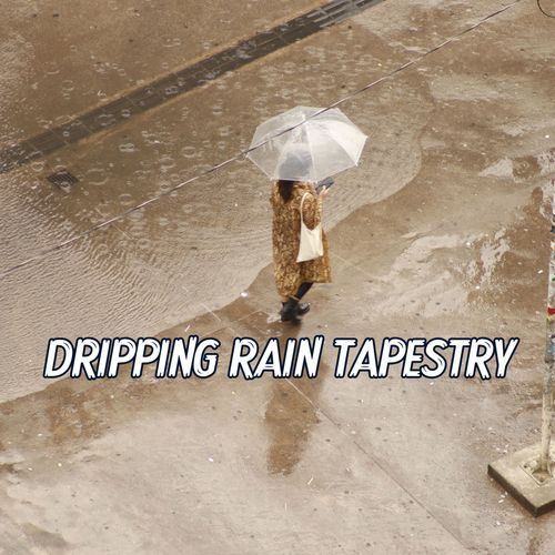 Dripping Rain Tapestry: A Peaceful Weave of Nature's Sounds, Offering a Harmonious and Meditative Experience