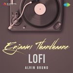 Enjaami Thandhaane  - LoFi