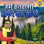 Hum Vanvasi Apne Van Ja Rahe