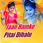 Jaan Hamke Pitai Dihalu