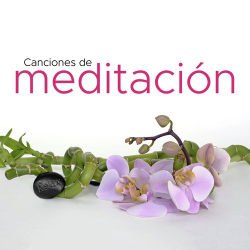 Yoga Maestro cover art