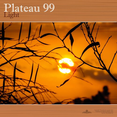 Light cover art