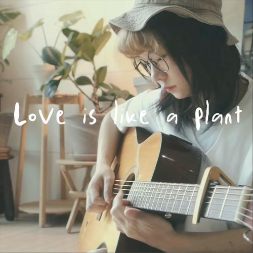 Love is like a plant_poster_image