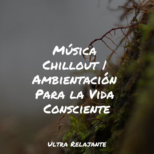 Música Chillout | Ambientación Para la Vida Consciente