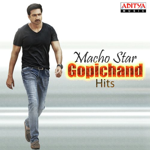Macho Star Gopichand Hits