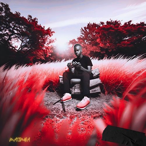 Tsika cover art