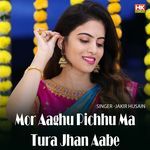 Mor Aaghu Pichhu Ma Tura Jhan Aabe