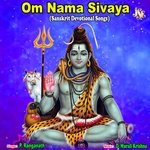 Om Namahsivaaya