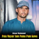 Pata Mayan Yam Pama Pam Kawa