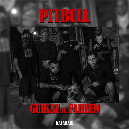 Pitbull cover art