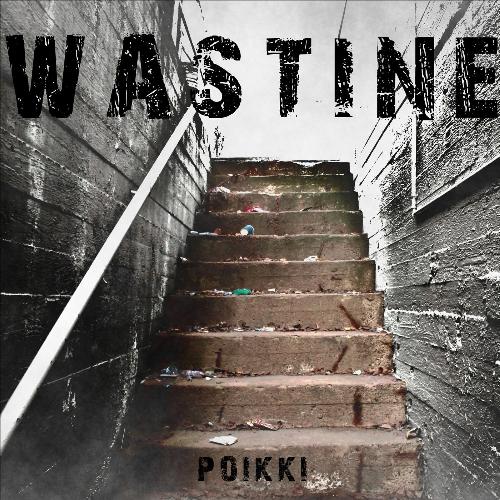 Poikki cover art