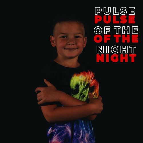 Pulse of the night_poster_image