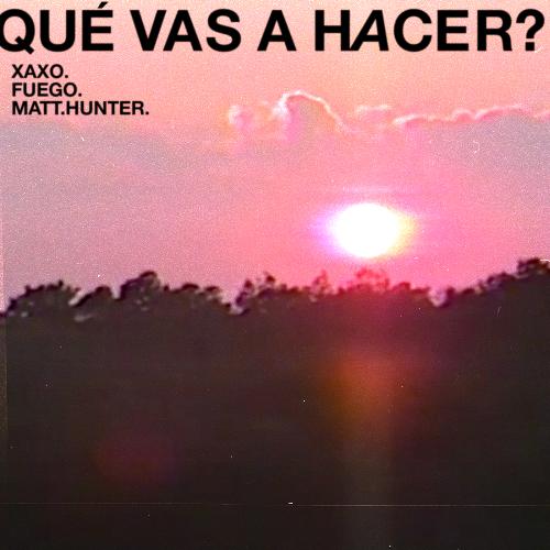 Qué Vas A Hacer?_poster_image