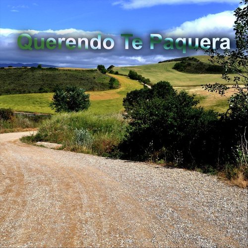 Outra Igual a Ela (feat. Dézinho Balanço) cover art