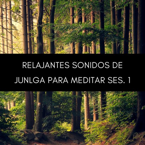 Meditación Celestial cover art