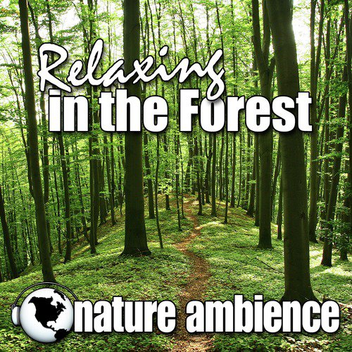 Relaxing in the Forest (Nature Sounds)