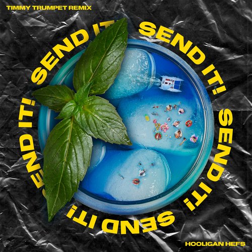 SEND IT! (Timmy Trumpet Remix)_poster_image