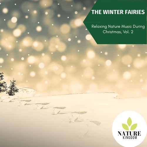 The Snowy Night - Relax During Holidays with Nature Music, Vol. 2