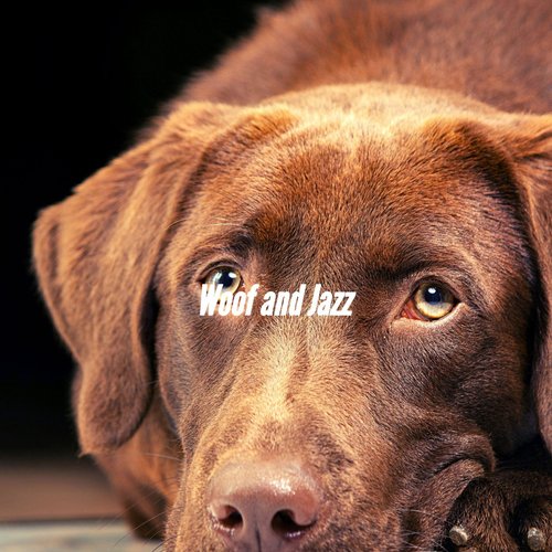 Background for Cool Dog cover art