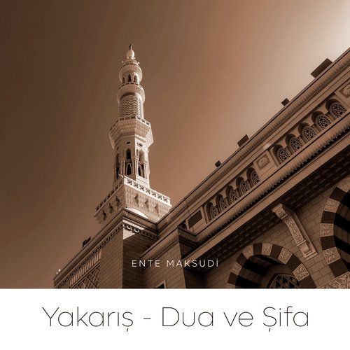 Ya Rabbi cover art