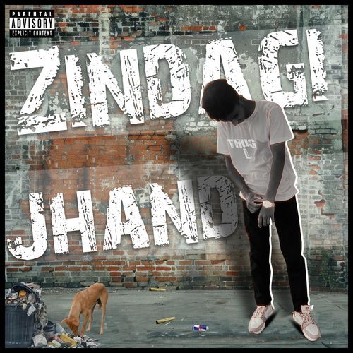 Zindagi jhand