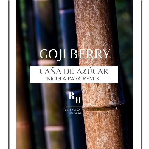 Caña De Azúcar (Nicola Papa Remix) cover art