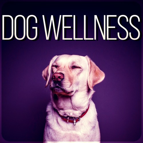 Dog Wellness – Calm Down Your Animal Companion, Music Therapy for Dogs, Sleep Aids, Pet Relaxation, Stress Relief