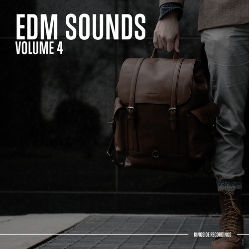 EDM Sounds (Volume 4)
