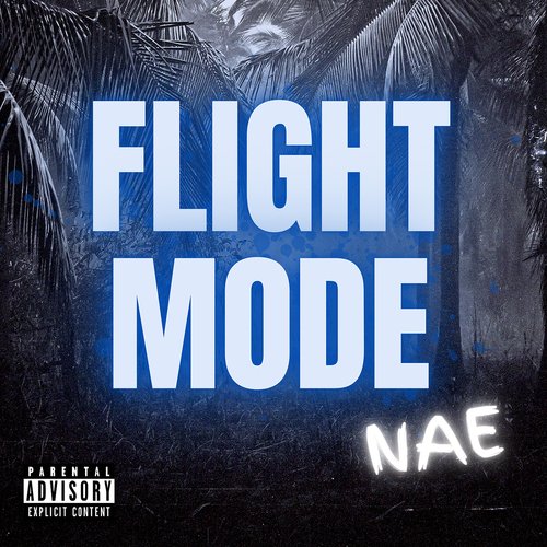 Flight Mode