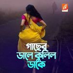 Gaasher dale kokil dake