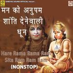 Hare Rama Rama Ram Sita Ram Ram Ram (NonStop)