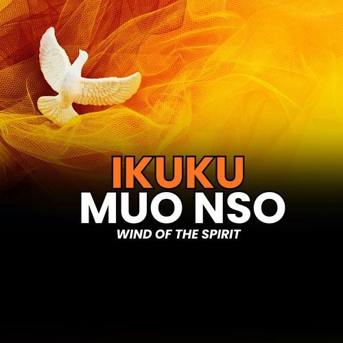 Olu Eluigwe – Voice of Heaven cover art