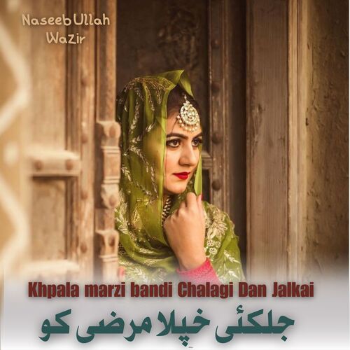 Khpala marzi bandi Chalagi Dan Jalkai