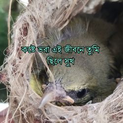 কষ্টে ভরা এই জীবনে তুমি ছিলে সুখ-KDE-YAEJQUQ