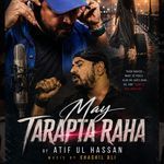 Main Tadapta Raha artwork