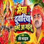 Maiya Duwariya Hamre Aa Gailu artwork