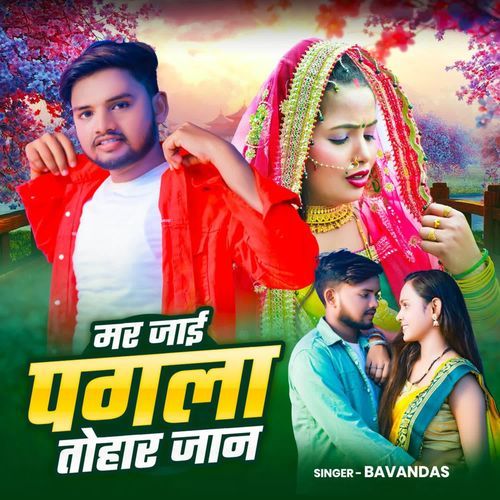 Mar Jai Pagla Tohar Jaan