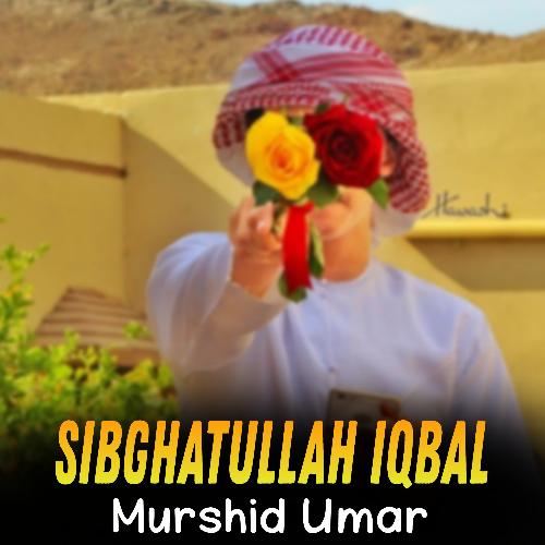 Murshid Umar