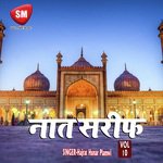 Naat Sharif Vol-10 (Urdu Islamic Naat)