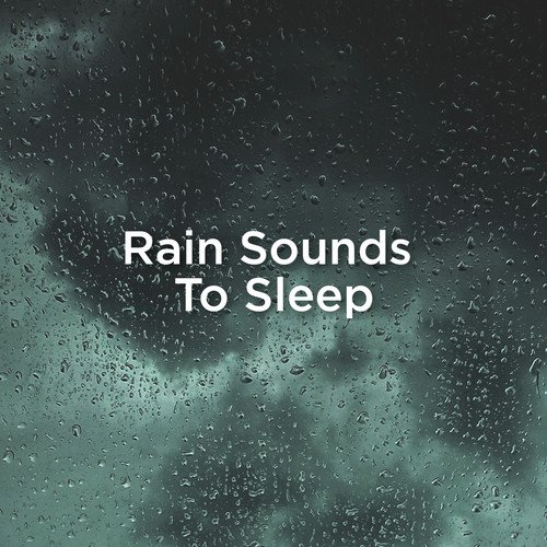 ASMR Rain Sounds cover art